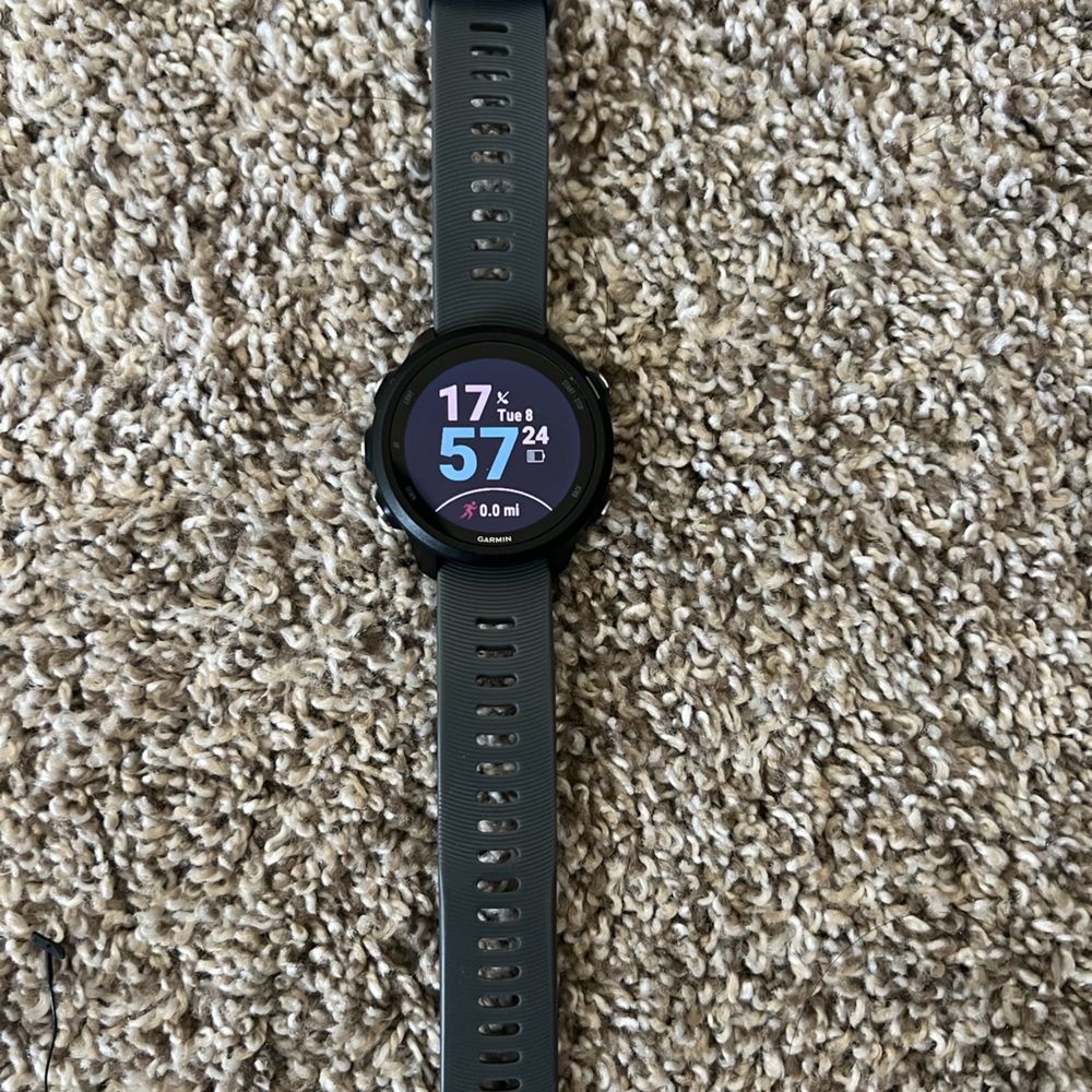 Garmin Forerunner 245